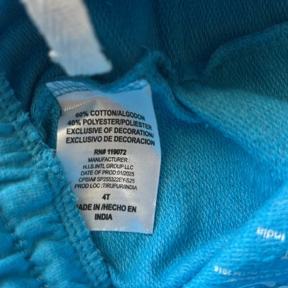 Bluey NWT Boys Shirt and Shorts Set size 4T - Picture 8 of 9